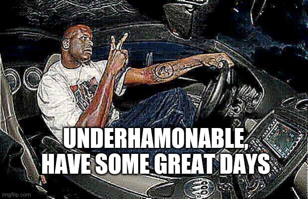 Understandable Have a Great Day but its Blank | UNDERHAMONABLE, HAVE SOME GREAT DAYS | image tagged in understandable have a great day but its blank | made w/ Imgflip meme maker
