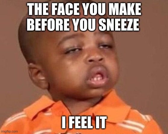 I feel it | THE FACE YOU MAKE BEFORE YOU SNEEZE; I FEEL IT | image tagged in i feel it | made w/ Imgflip meme maker