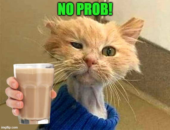 NO PROB! | image tagged in wtf-cat | made w/ Imgflip meme maker