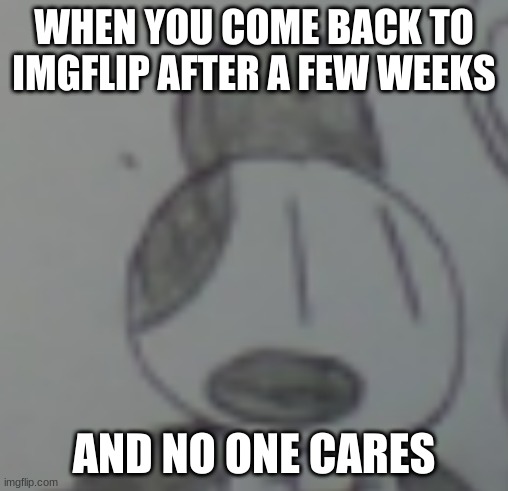 I'M BACK... | WHEN YOU COME BACK TO IMGFLIP AFTER A FEW WEEKS; AND NO ONE CARES | image tagged in i'm back,thanks for nothing,jk | made w/ Imgflip meme maker