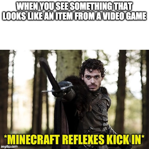 Minecraft Reflexes | WHEN YOU SEE SOMETHING THAT LOOKS LIKE AN ITEM FROM A VIDEO GAME | image tagged in minecraft reflexes | made w/ Imgflip meme maker