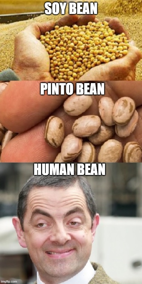 Beans | SOY BEAN; PINTO BEAN; HUMAN BEAN | image tagged in mr bean | made w/ Imgflip meme maker