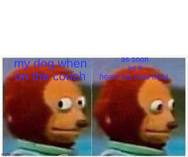 Monkey Puppet Meme |  as soon as it hears the food bowl; my dog when on the couch | image tagged in memes,monkey puppet | made w/ Imgflip meme maker