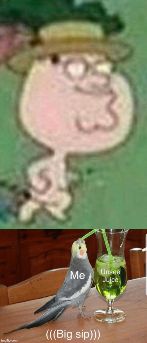 Wtf | image tagged in unsee juice | made w/ Imgflip meme maker