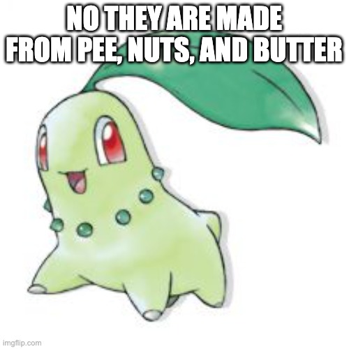 Chikorita | NO THEY ARE MADE FROM PEE, NUTS, AND BUTTER | image tagged in chikorita | made w/ Imgflip meme maker