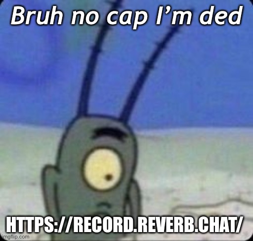 I’m gonna regret this✨✨✨ | Bruh no cap I’m ded; HTTPS://RECORD.REVERB.CHAT/ | made w/ Imgflip meme maker