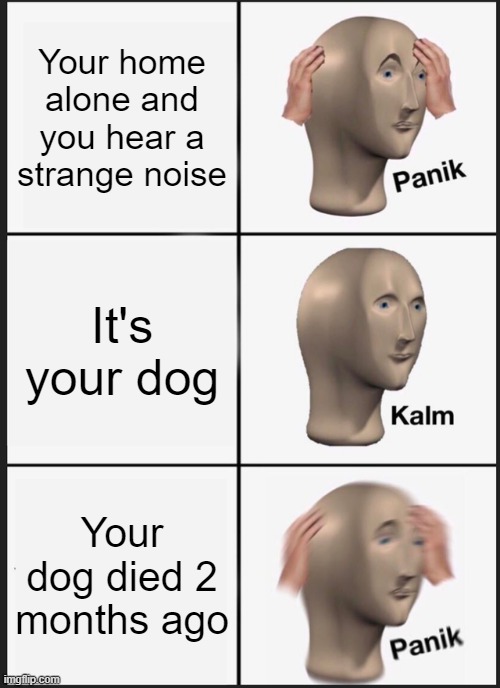 Panik Kalm Panik Meme | Your home alone and you hear a strange noise; It's your dog; Your dog died 2 months ago | image tagged in memes,panik kalm panik | made w/ Imgflip meme maker