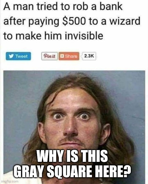 $500 Wizard Invisability | WHY IS THIS GRAY SQUARE HERE? | image tagged in 500 wizard invisability,funny memes,meme,meth,bank robber | made w/ Imgflip meme maker