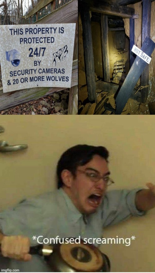 Security cameras and 20 or more wolves | image tagged in confused screaming,funny,memes,funny signs,wolves,you had one job | made w/ Imgflip meme maker