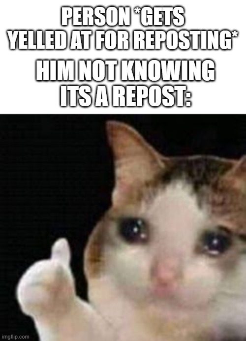 Approved crying cat | PERSON *GETS YELLED AT FOR REPOSTING*; HIM NOT KNOWING ITS A REPOST: | image tagged in approved crying cat | made w/ Imgflip meme maker