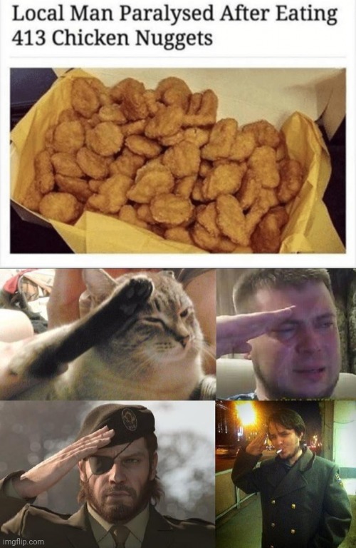 413 chicken nuggets | image tagged in ozon's salute,crying salute,chicken nuggets,memes,meme,salute | made w/ Imgflip meme maker