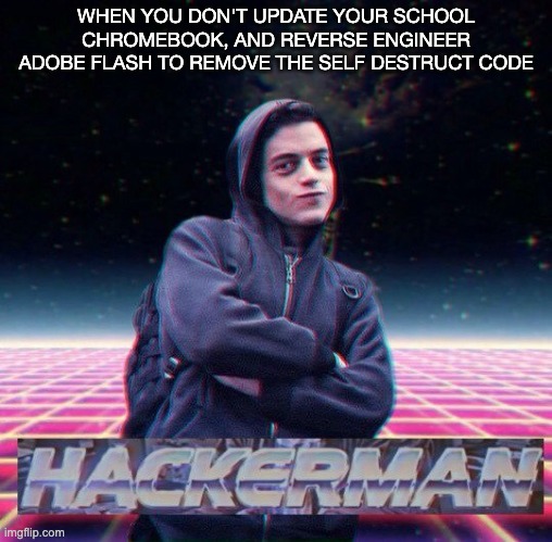 HackerMan | WHEN YOU DON'T UPDATE YOUR SCHOOL CHROMEBOOK, AND REVERSE ENGINEER ADOBE FLASH TO REMOVE THE SELF DESTRUCT CODE | image tagged in hackerman | made w/ Imgflip meme maker