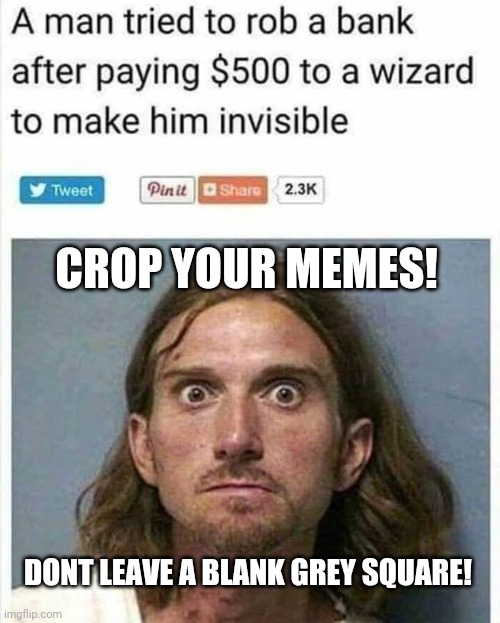 Crop your memes! | CROP YOUR MEMES! DONT LEAVE A BLANK GREY SQUARE! | image tagged in 500 wizard invisability,crop circles,wizard,bank robber | made w/ Imgflip meme maker