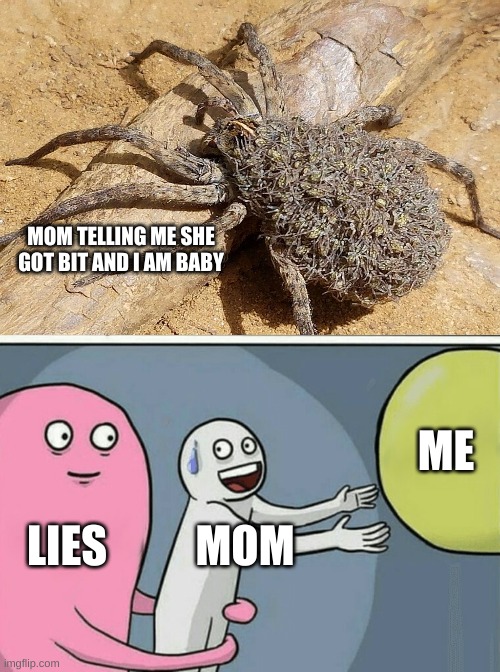 Running Away Balloon Meme | MOM TELLING ME SHE GOT BIT AND I AM BABY; ME; LIES; MOM | image tagged in memes,running away balloon | made w/ Imgflip meme maker