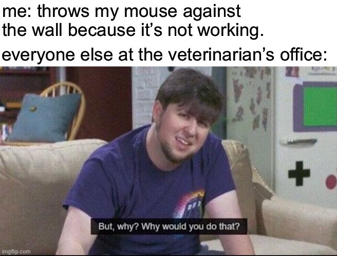 Oof | me: throws my mouse against the wall because it’s not working. everyone else at the veterinarian’s office: | image tagged in but why why would you do that,dark humor,funny,mouse,animals | made w/ Imgflip meme maker