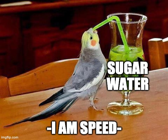 Big Sip | SUGAR WATER -I AM SPEED- | image tagged in big sip | made w/ Imgflip meme maker