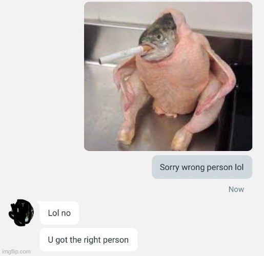 lmfao | image tagged in memes,smoking,fish,chicken,texting | made w/ Imgflip meme maker