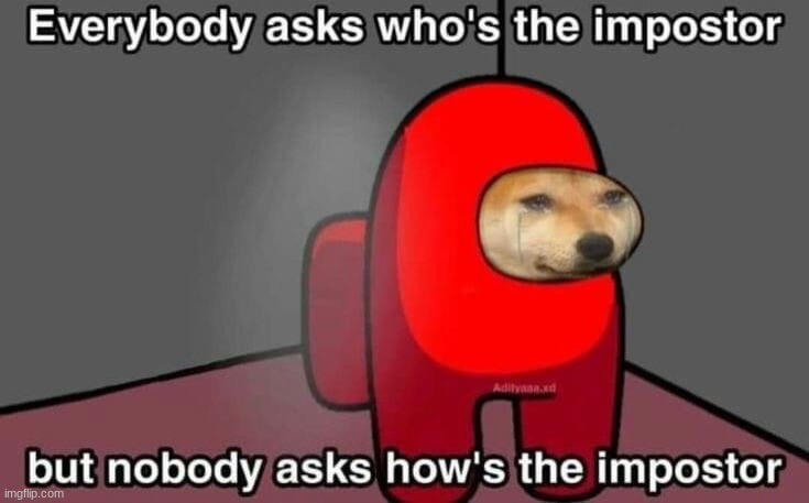 doge is sad. | image tagged in imposter,skrrr | made w/ Imgflip meme maker
