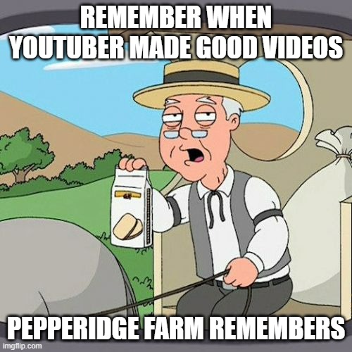 Just stupidity and pranks (like oh this is bad, SIKE) | REMEMBER WHEN YOUTUBER MADE GOOD VIDEOS; PEPPERIDGE FARM REMEMBERS | image tagged in memes,pepperidge farm remembers,youtube | made w/ Imgflip meme maker