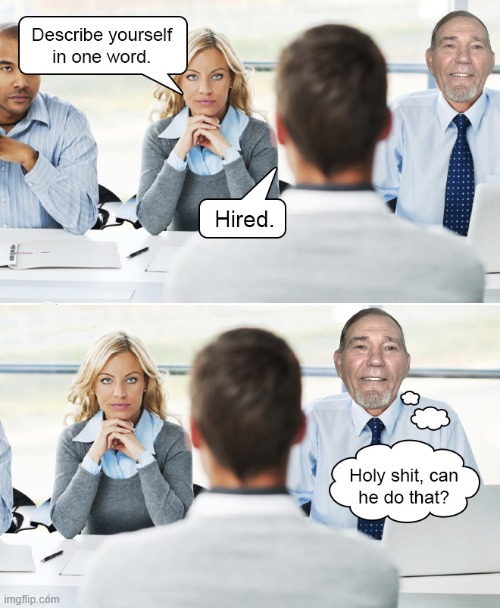 job interview | image tagged in job interview,kewlew | made w/ Imgflip meme maker