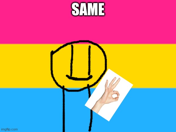 Pansexual flag | SAME | image tagged in pansexual flag | made w/ Imgflip meme maker