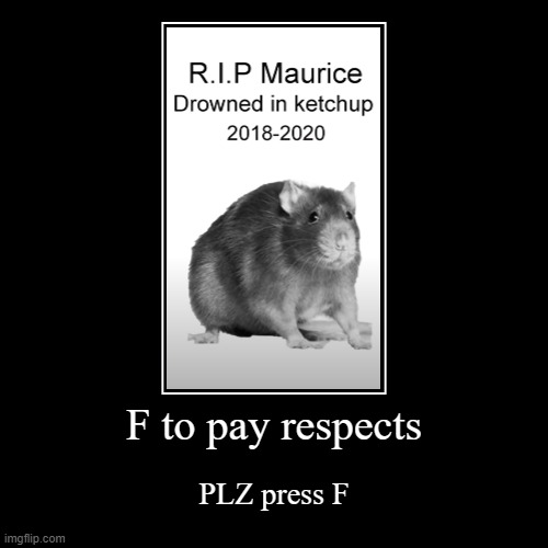 F to pay respects | PLZ press F | image tagged in funny,demotivationals | made w/ Imgflip demotivational maker