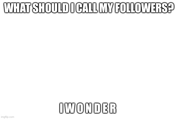No dum names | WHAT SHOULD I CALL MY FOLLOWERS? I W O N D E R | image tagged in mhm,followers,lol,xd,oop | made w/ Imgflip meme maker