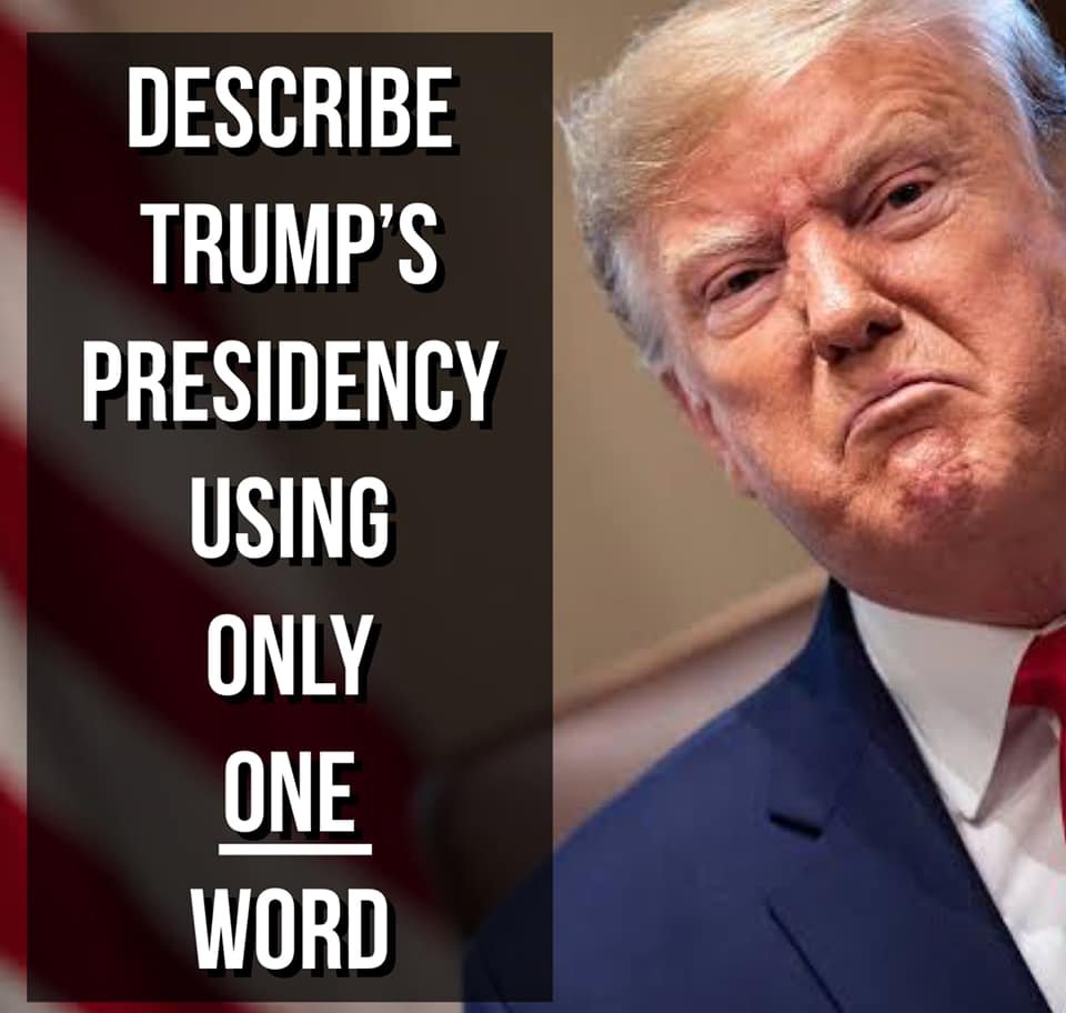 Describe Trump's Presidency using only one word Blank Meme Template