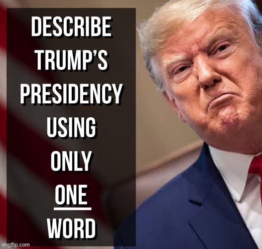 ummm, obviously the most accurate word is maga, maga | image tagged in describe trump's presidency using only one word,maga,president trump,trump,donald trump,repost | made w/ Imgflip meme maker
