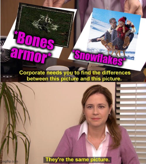 -Protection from bad. | *Bones armor*; *Snowflakes* | image tagged in memes,they're the same picture,couples therapy,special snowflake,magical,knight armor | made w/ Imgflip meme maker