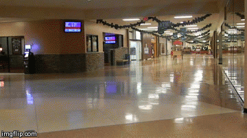 They arrived | image tagged in gifs | made w/ Imgflip video-to-gif maker