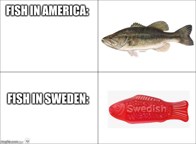 fishy bois | FISH IN AMERICA:; FISH IN SWEDEN: | image tagged in basic four panel meme | made w/ Imgflip meme maker