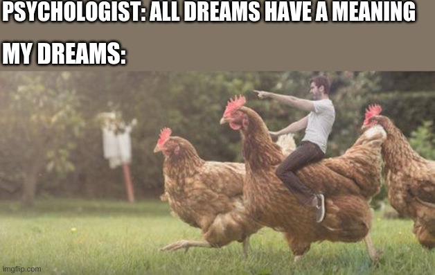 XD XD XD | PSYCHOLOGIST: ALL DREAMS HAVE A MEANING; MY DREAMS: | image tagged in chicken rider | made w/ Imgflip meme maker