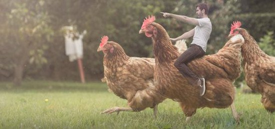 Chicken rider Blank Meme Template