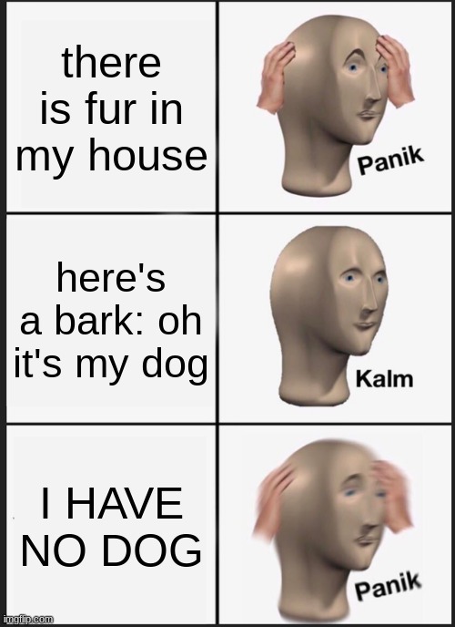 Panik Kalm Panik Meme | there is fur in my house; here's a bark: oh it's my dog; I HAVE NO DOG | image tagged in memes,panik kalm panik | made w/ Imgflip meme maker