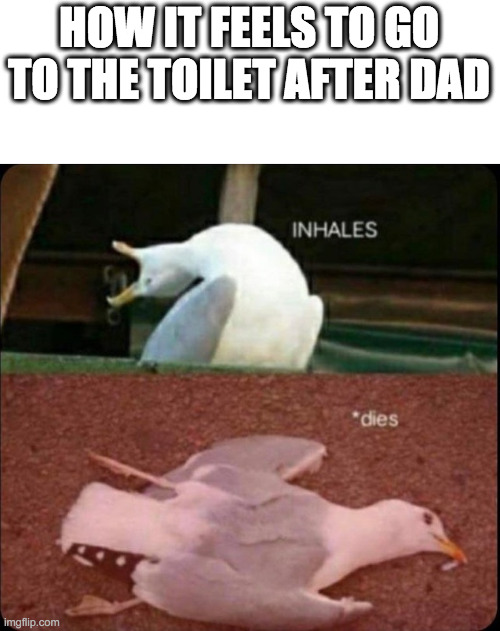 inhales dies bird | HOW IT FEELS TO GO TO THE TOILET AFTER DAD | image tagged in inhales dies bird | made w/ Imgflip meme maker