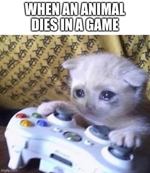 :( | WHEN AN ANIMAL DIES IN A GAME | image tagged in sad gaming cat | made w/ Imgflip meme maker