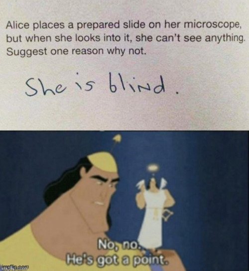 she is blind if she can't see anything! | image tagged in smartass,so true memes | made w/ Imgflip meme maker