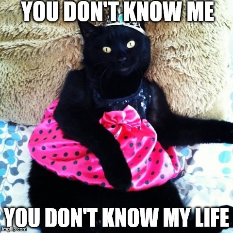 You don't know me | image tagged in prissy cat real life | made w/ Imgflip meme maker
