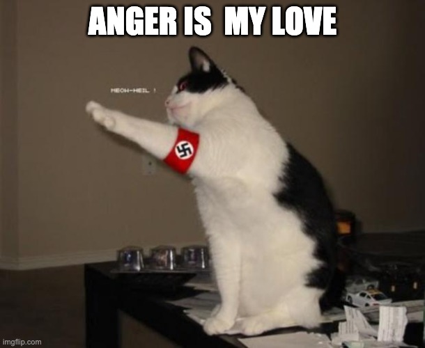 hitler cat | ANGER IS  MY LOVE | image tagged in hitler cat | made w/ Imgflip meme maker