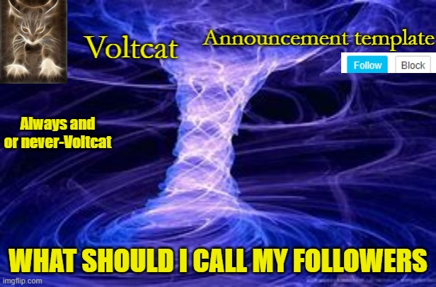 New Volcat Announcment template | WHAT SHOULD I CALL MY FOLLOWERS | image tagged in new volcat announcment template | made w/ Imgflip meme maker