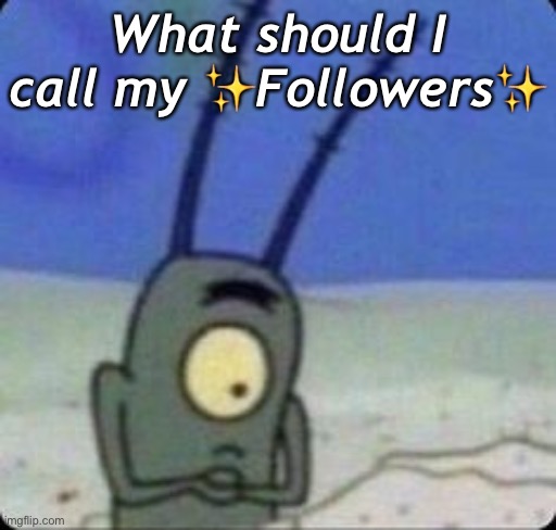 What should I call my ✨Followers✨ | made w/ Imgflip meme maker