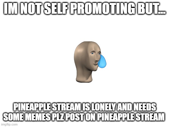 Blank White Template | IM NOT SELF PROMOTING BUT... PINEAPPLE STREAM IS LONELY AND NEEDS SOME MEMES PLZ POST ON PINEAPPLE STREAM | image tagged in blank white template | made w/ Imgflip meme maker