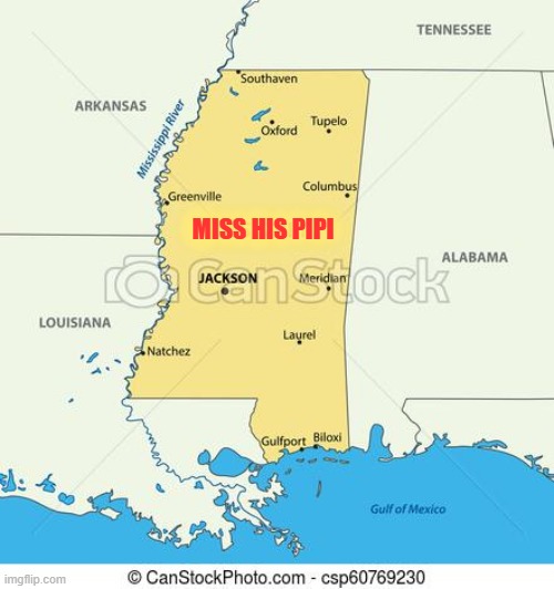 MissHisPipi | MISS HIS PIPI | image tagged in mississippi | made w/ Imgflip meme maker