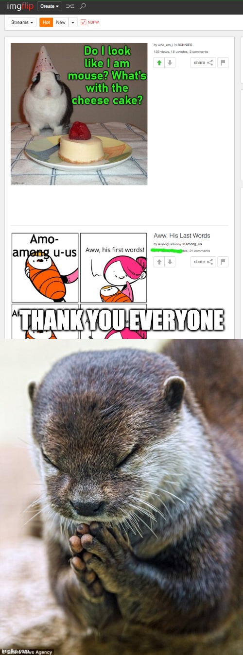 Thank you so much! Front page, #2, under who_am_i's meme! | THANK YOU EVERYONE | image tagged in thank you lord otter | made w/ Imgflip meme maker