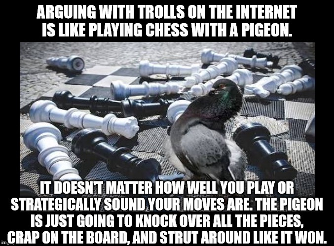 Pigeon Chess Blank | ARGUING WITH TROLLS ON THE INTERNET IS LIKE PLAYING CHESS WITH A PIGEON. IT DOESN'T MATTER HOW WELL YOU PLAY OR STRATEGICALLY SOUND YOUR MOVES ARE. THE PIGEON IS JUST GOING TO KNOCK OVER ALL THE PIECES, CRAP ON THE BOARD, AND STRUT AROUND LIKE IT WON. | image tagged in pigeon chess blank | made w/ Imgflip meme maker