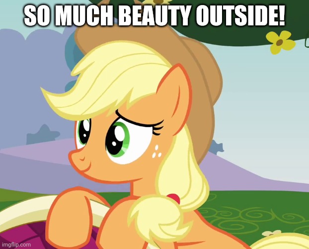 SO MUCH BEAUTY OUTSIDE! | made w/ Imgflip meme maker