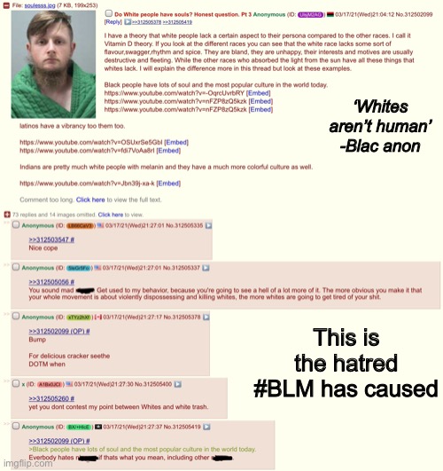 The current state of BLM summed up in one thread | ‘Whites aren’t human’ -Blac anon; This is the hatred #BLM has caused | image tagged in blm,4chan | made w/ Imgflip meme maker