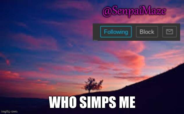 sunset | WHO SIMPS ME | image tagged in sunset | made w/ Imgflip meme maker