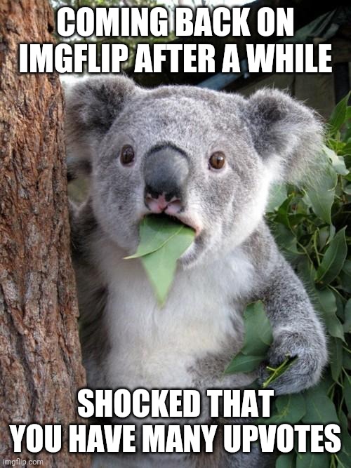Surprised Koala Meme | COMING BACK ON IMGFLIP AFTER A WHILE; SHOCKED THAT YOU HAVE MANY UPVOTES | image tagged in memes,surprised koala | made w/ Imgflip meme maker